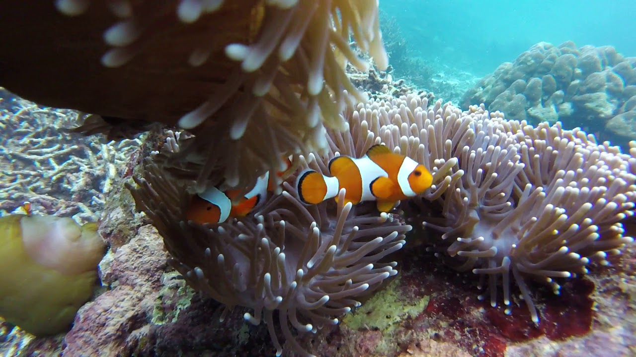 Raja Ampat Tour 4D3N